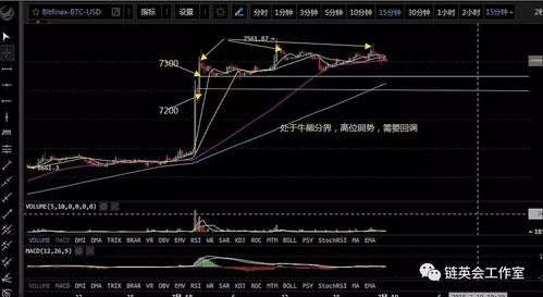 正版资料大全资料级公开491c|探索新兴市场投资趋势_mShop.0.387